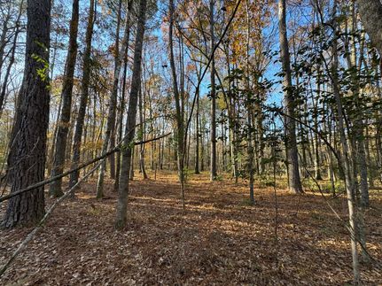 Property for sale in Elmore County, Alabama