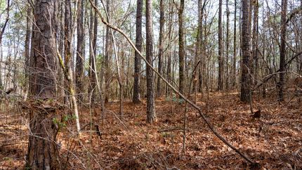Property for sale in Shelby County, Alabama