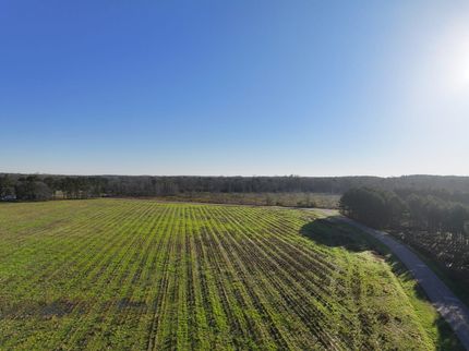 Property for sale in Bullock County, Alabama