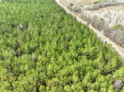 Undeveloped Land for sale in Montgomery County, Alabama