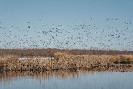 Recreational Property for sale in Tallahatchie County, Mississippi