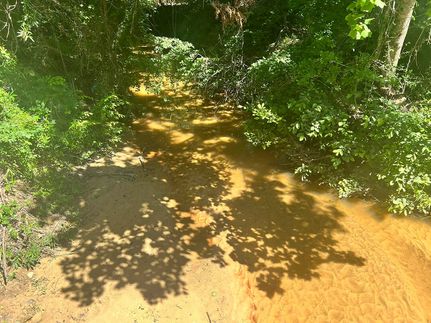 Undeveloped Land for sale in Lamar County, Alabama