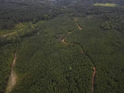 Property for sale in Amite County, Mississippi