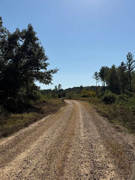 Undeveloped Land for sale in Yalobusha County, Mississippi