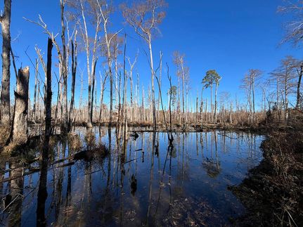 Property for sale in Jackson Parish, Louisiana