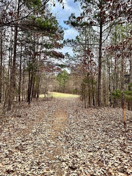 Undeveloped Land for sale in Benton County, Mississippi