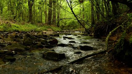 Recreational Property for sale in Howard County, Arkansas