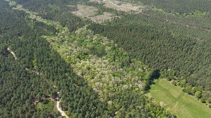 Recreational Property for sale in Pike County, Arkansas