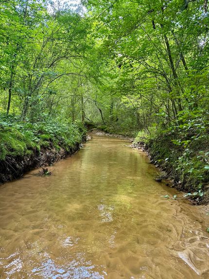 Property for sale in Winston County, Mississippi