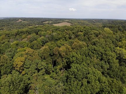 Hunting Land for sale in Calhoun County, Illinois