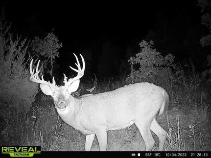 Farm Property for sale in Ralls County, Missouri