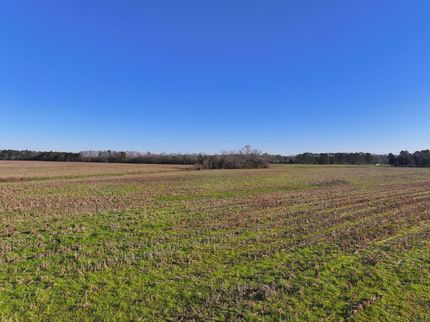 Property for sale in Bullock County, Alabama