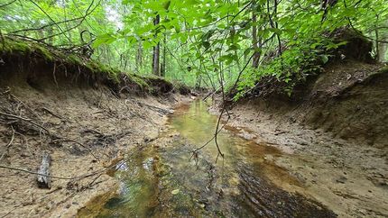 Undeveloped Land for sale in Choctaw County, Mississippi