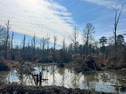 Property for sale in Scott County, Mississippi