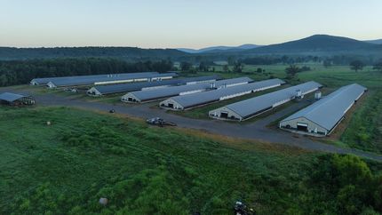 Property for sale in Polk County, Arkansas