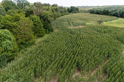 Property for sale in Union County, Illinois