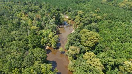 Hunting Land for sale in Webster Parish, Louisiana
