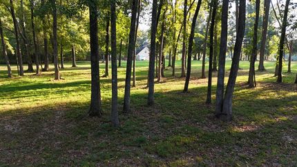 Hunting Land for sale in Hinds County, Mississippi