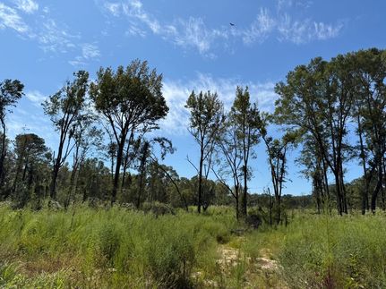 Hunting Land for sale in Scott County, Mississippi