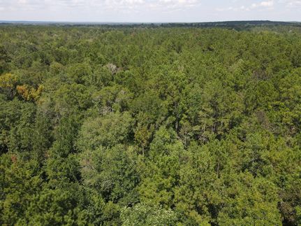 Property for sale in George County, Mississippi
