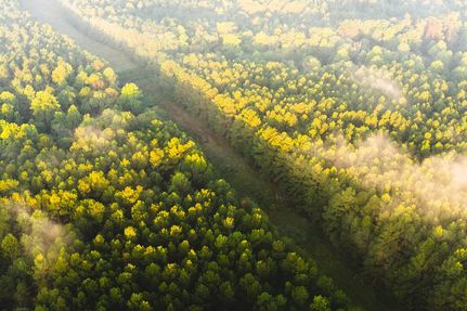 Property for sale in Jefferson Davis County, Mississippi