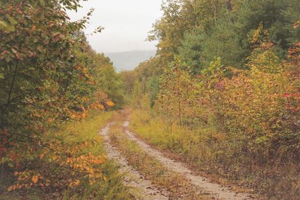 Recreational Property for sale in Morgan County, Tennessee