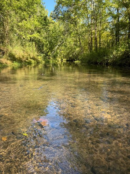 Property in Tallahatchie County, Mississippi