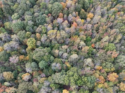 Hunting Land for sale in Butler County, Kentucky