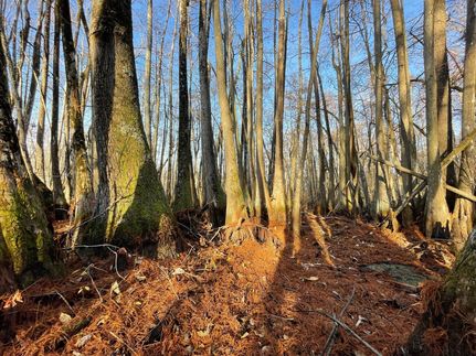 Property for sale in Holmes County, Mississippi