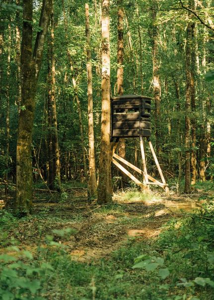 Recreational Property for sale in Lafayette County, Mississippi