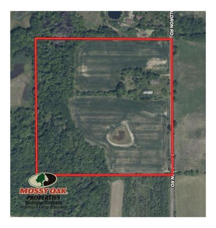 Hunting Land for sale in Hillsdale County, Michigan