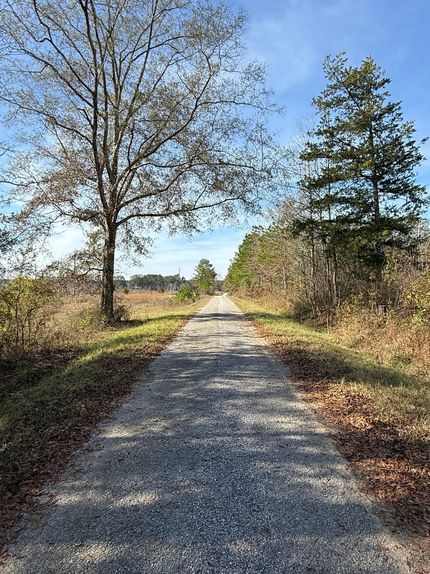 Property for sale in Kemper County, Mississippi