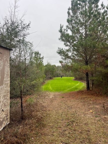 Hunting Land for sale in Wayne County, Mississippi
