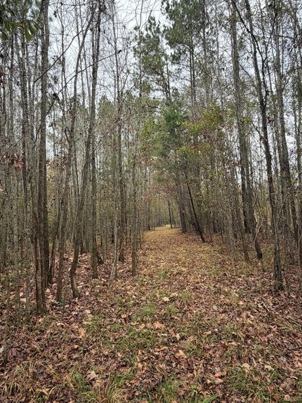 Property for sale in Clarke County, Mississippi
