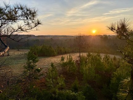 Property for sale in Yalobusha County, Mississippi