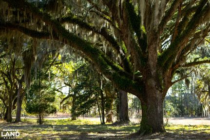 Residential Property for sale in Georgetown County, South Carolina