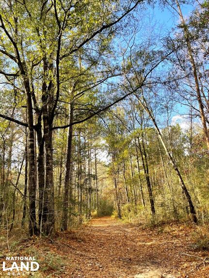 Property for sale in Baldwin County, Alabama