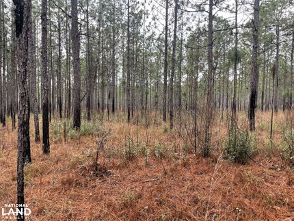 Property for sale in Baldwin County, Alabama