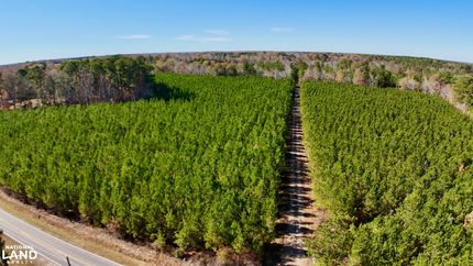 Timberland Property for sale in Hertford County, North Carolina