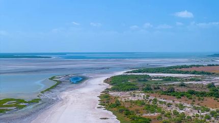 Beachfront Property for sale in Kleberg County, Texas