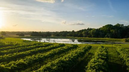 Property for sale in Colorado County, Texas