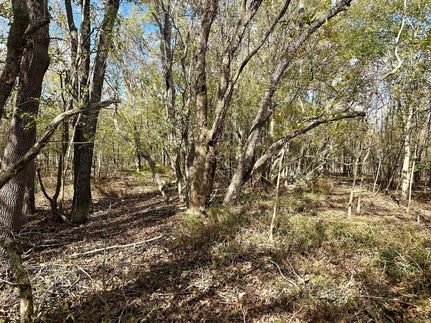 Property for sale in Franklin Parish, Louisiana