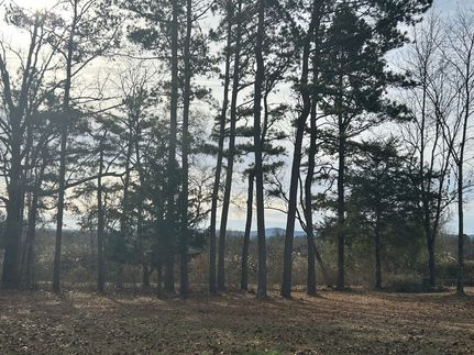 Residential Property for sale in Polk County, Arkansas