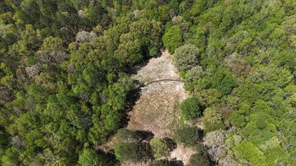 Property for sale in Hardeman County, Tennessee