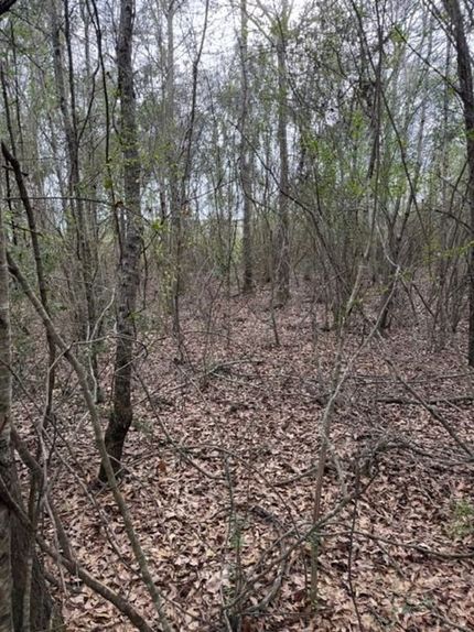 Property for sale in Pike County, Alabama