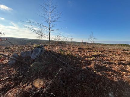 Property for sale in Pike County, Arkansas