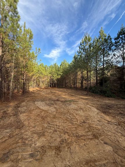 Timberland Property for sale in Winston County, Mississippi