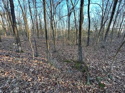 Property for sale in Polk County, Arkansas