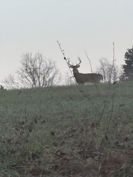 Property for sale in Johnson County, Illinois