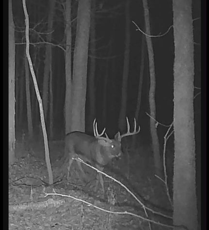 Property for sale in Clay County, Illinois